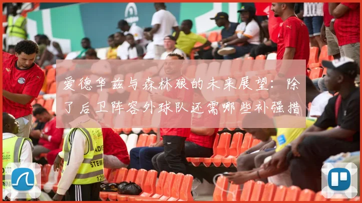 爱德华兹与森林狼的未来展望：除了后卫阵容外球队还需哪些补强措施